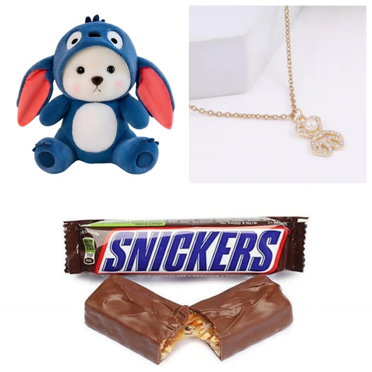 Valentine Special Combo: Hoodie Teddy, Chocolates, and Sparkling Necklace