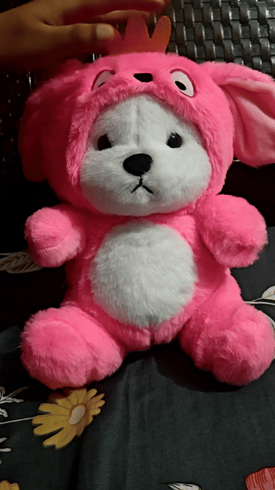 Imported Hoodie Teddy Plush Toy With Removable Cap (35 cm)